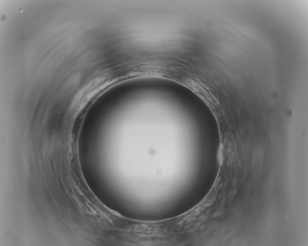 X0000088590338200706011143