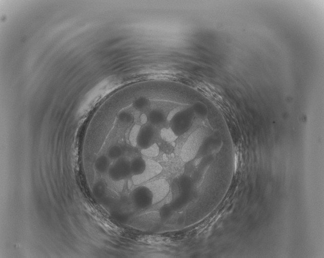 X0000088590339200706011143