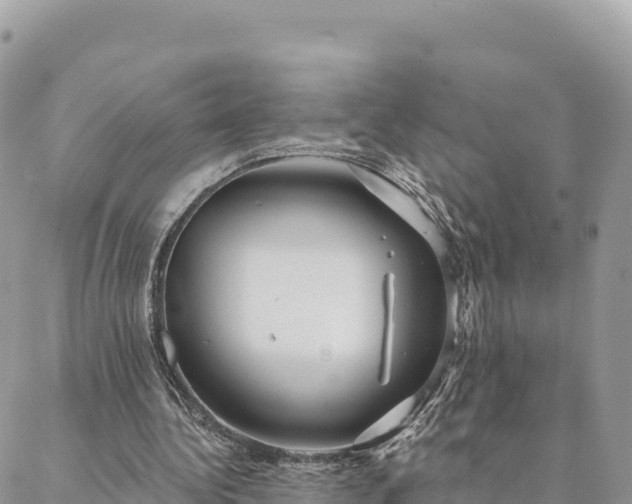 X0000088590340200706011143