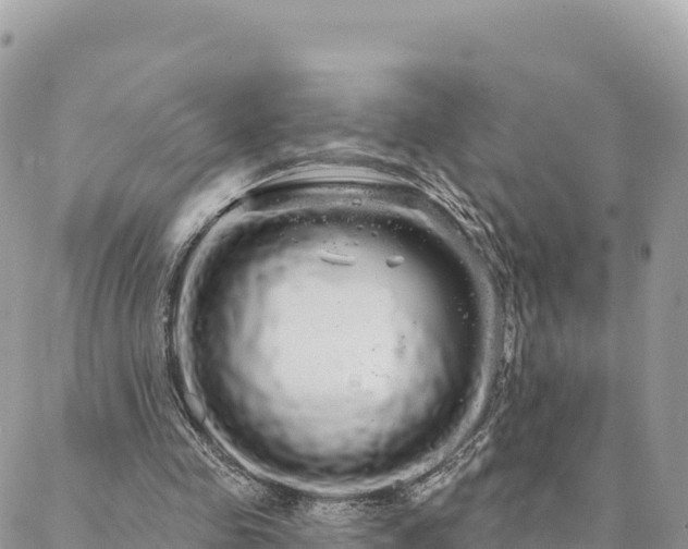 X0000088590341200706011143