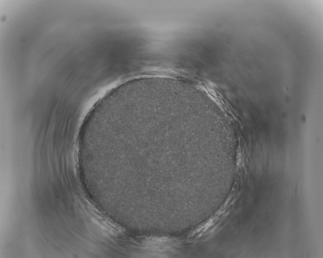 X0000088590342200706011143