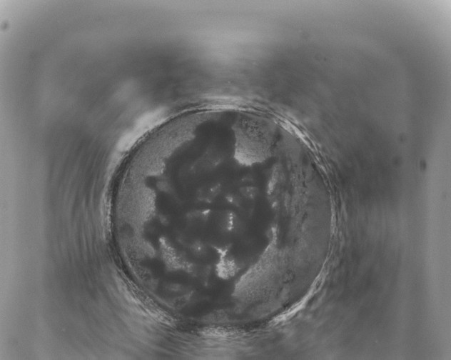 X0000088590343200706011143