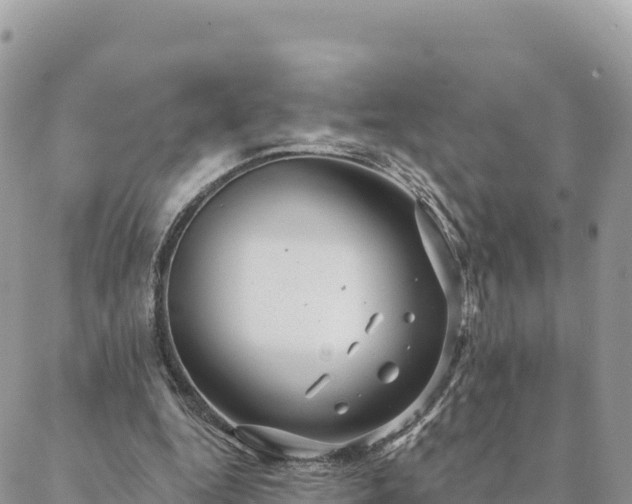 X0000088590344200706011143