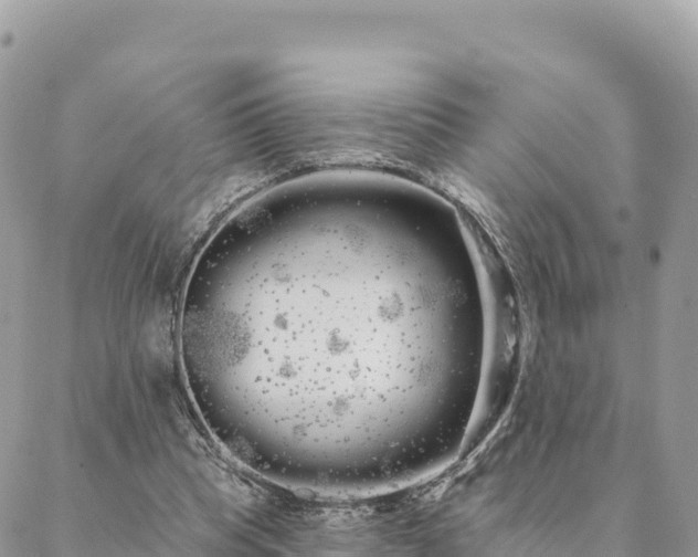 X0000088590345200706011143