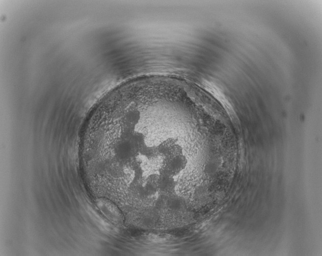 X0000088590346200706011143