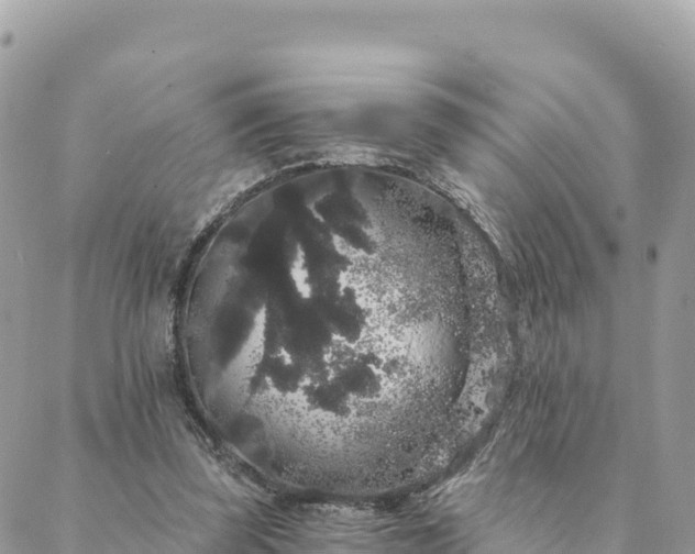 X0000088590347200706011143