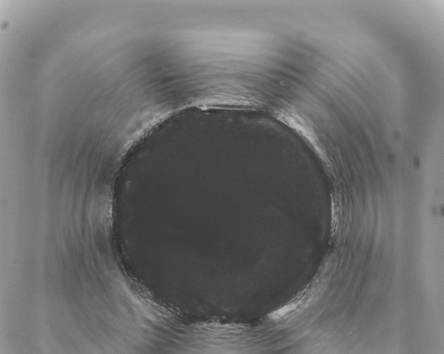 X0000088590348200706011143