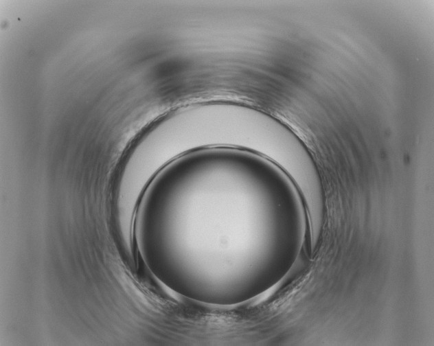 X0000088590350200706011143