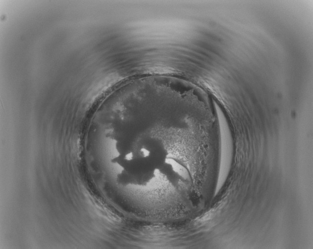 X0000088590351200706011143