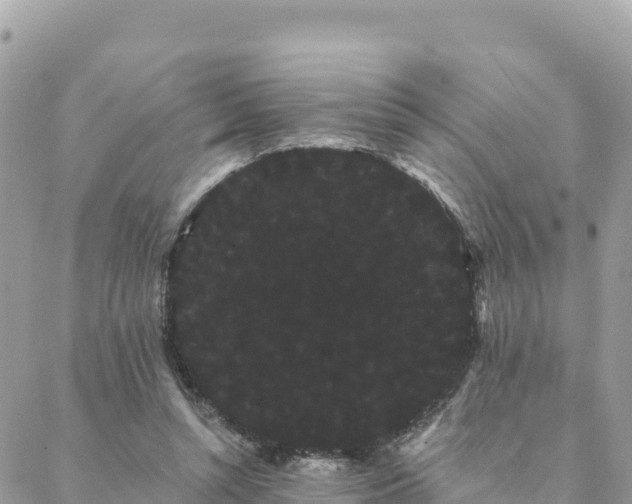 X0000088590352200706011143