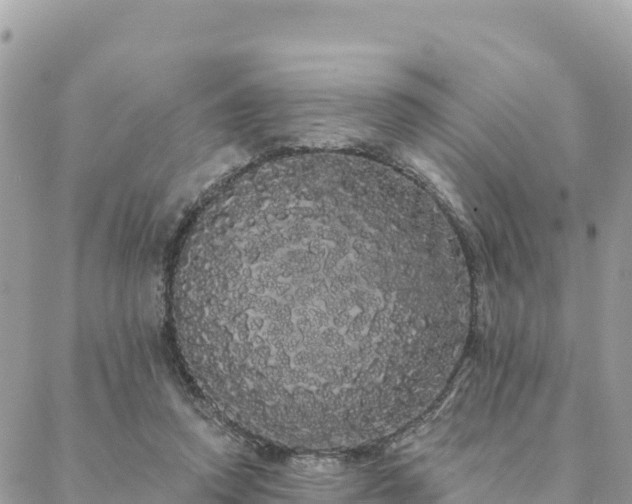 X0000088590354200706011143