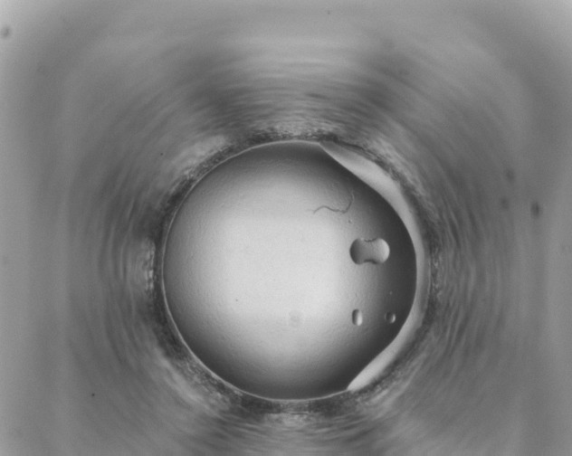 X0000088590356200706011143