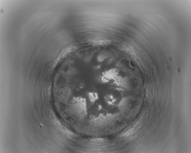 X0000088590357200706011143