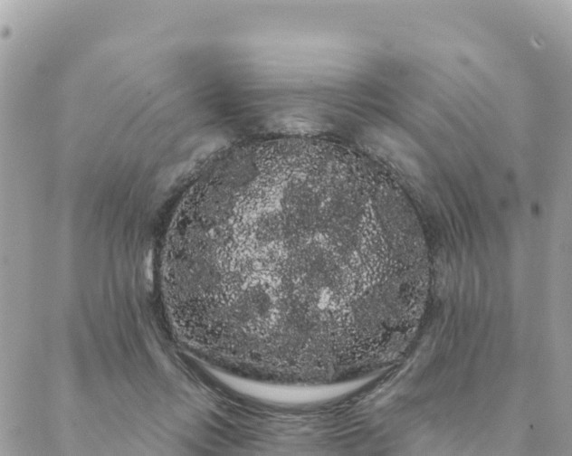 X0000088590358200706011143