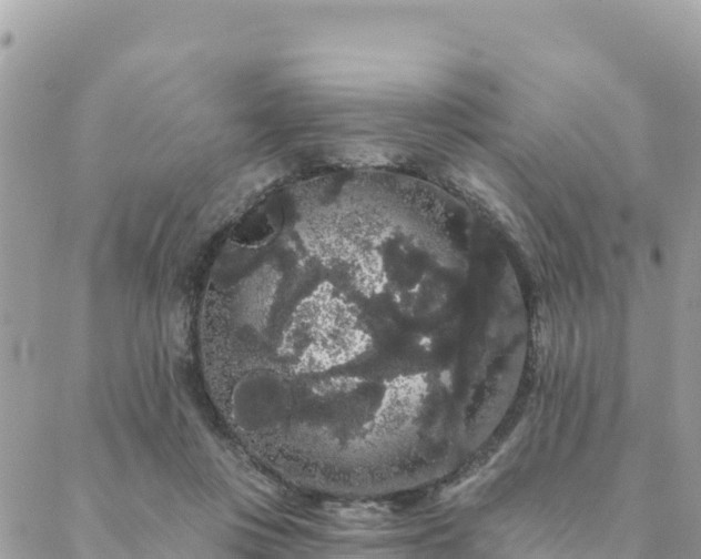 X0000088590359200706011143