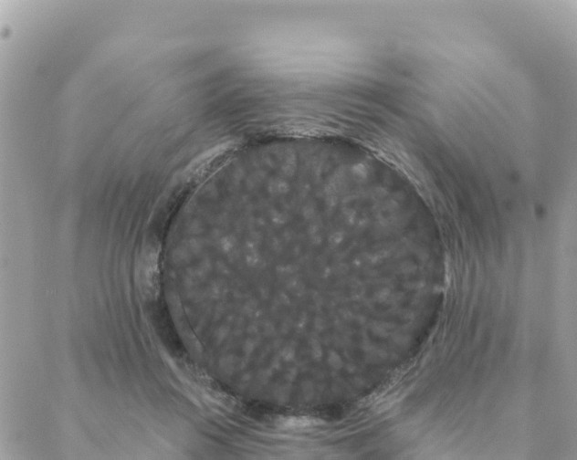 X0000088590360200706011143