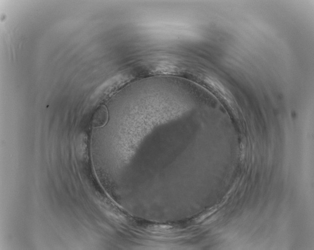 X0000088590361200706011143