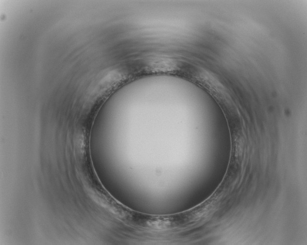 X0000088590362200706011143