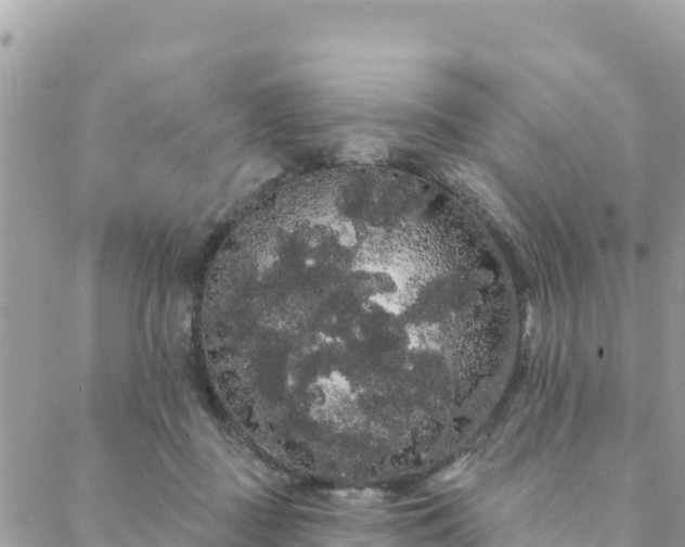 X0000088590363200706011143