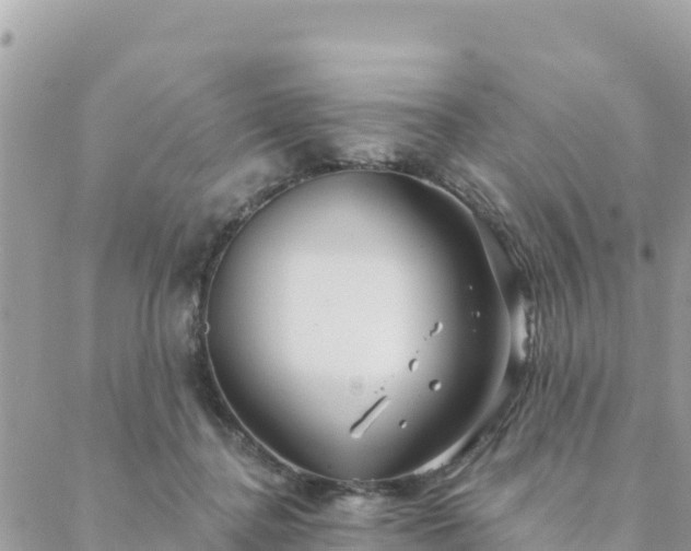 X0000088590364200706011143