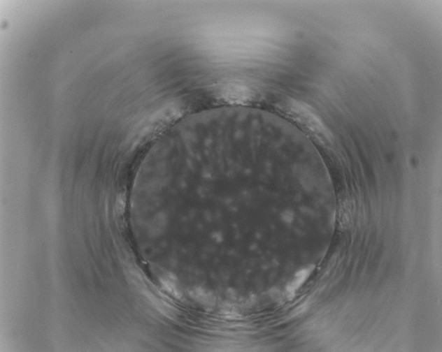 X0000088590365200706011143