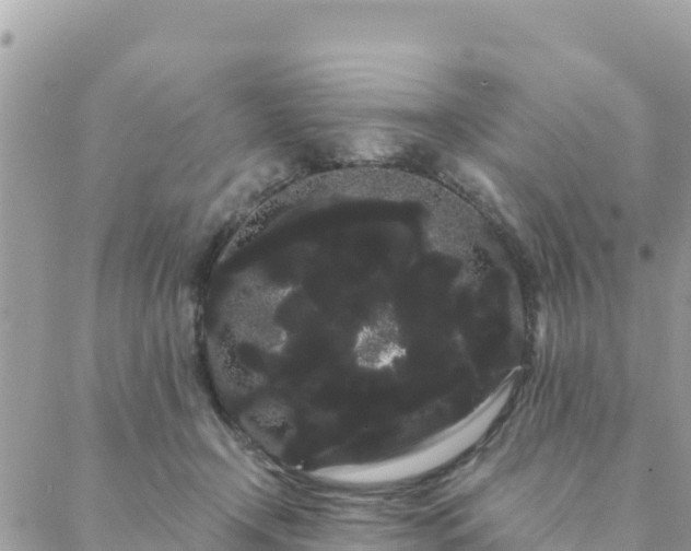 X0000088590366200706011143