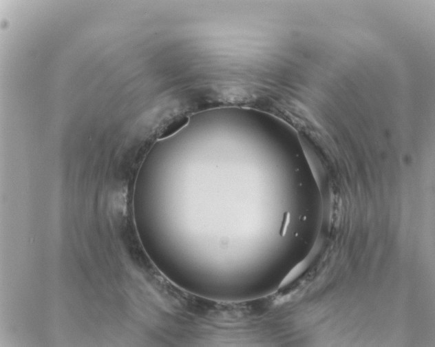 X0000088590368200706011143