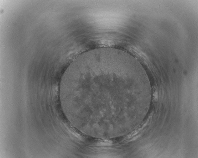 X0000088590369200706011143