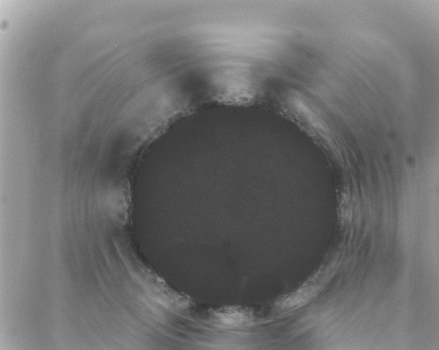 X0000088590370200706011143