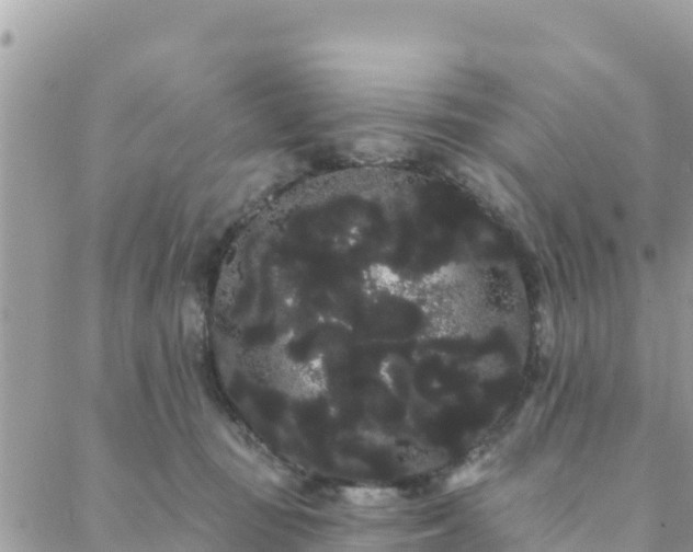 X0000088590371200706011143