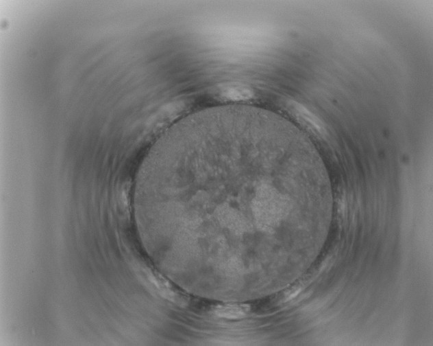 X0000088590373200706011144