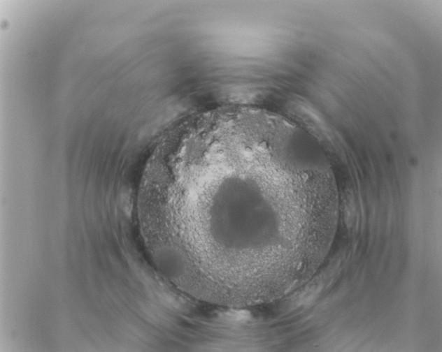 X0000088590374200706011144