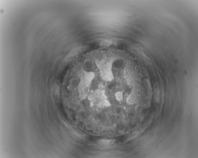 X0000088590375200706011144