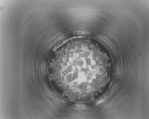 X0000088590376200706011144