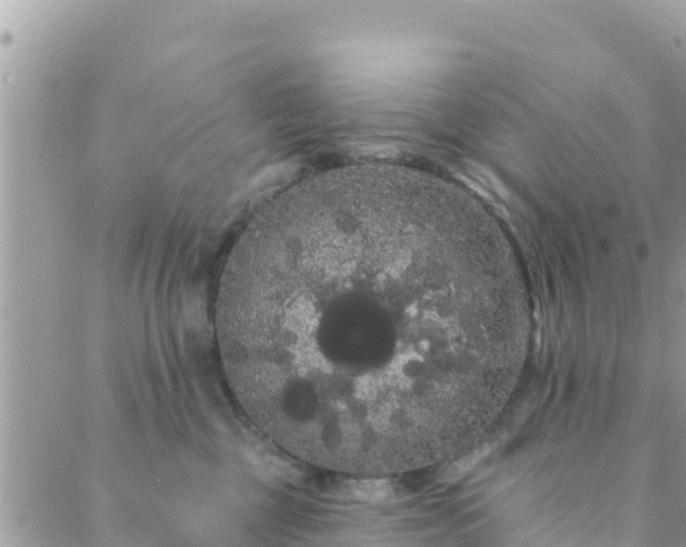 X0000088590377200706011144