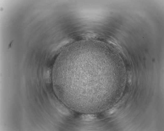 X0000088590378200706011144