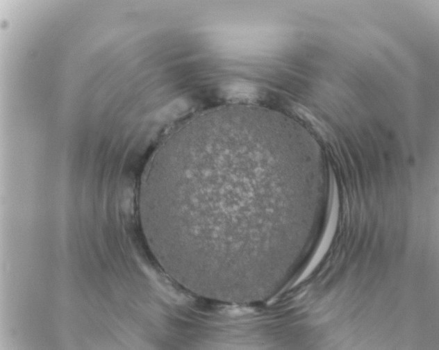 X0000088590379200706011144