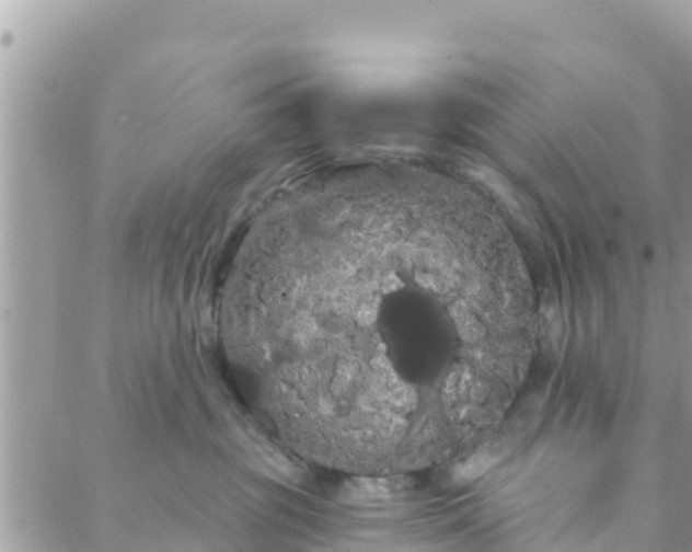 X0000088590381200706011144