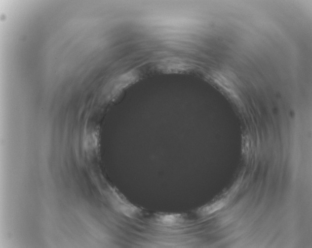 X0000088590382200706011144