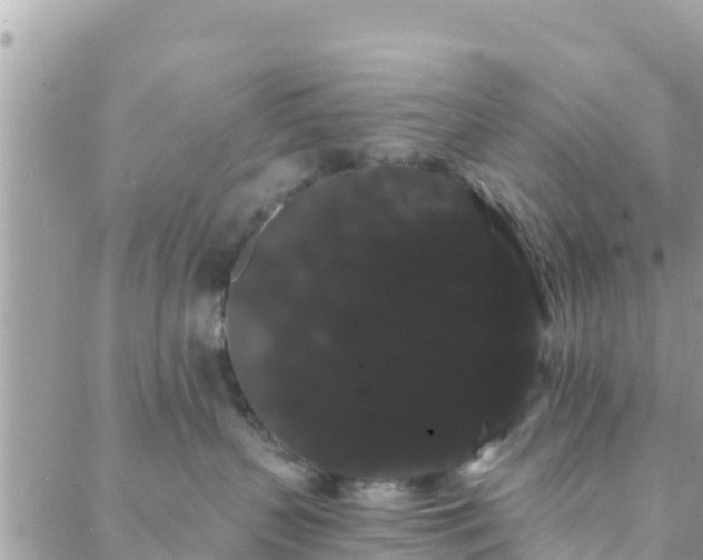 X0000088590383200706011144