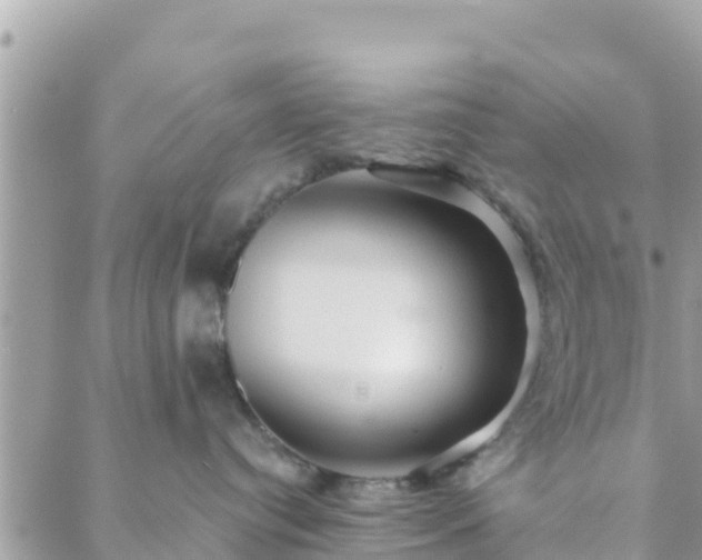 X0000088590384200706011144