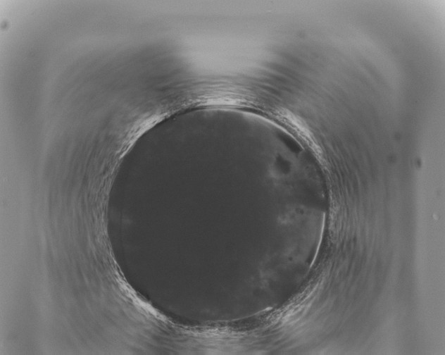 X0000088590385200706011143