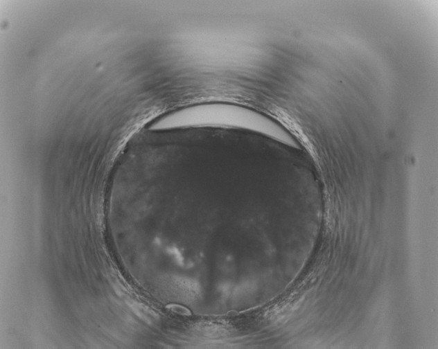 X0000088590386200706011143