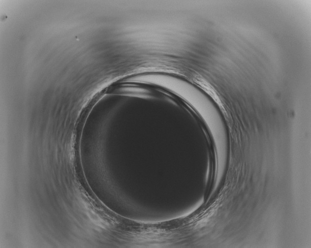 X0000088590387200706011143