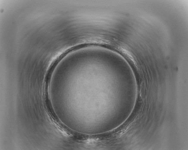 X0000088590388200706011143