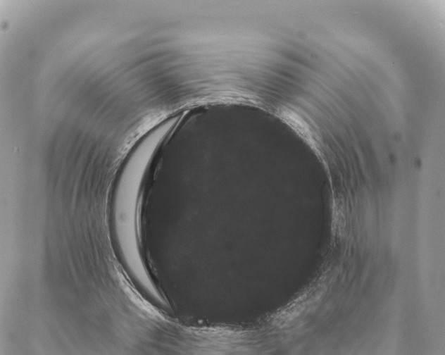 X0000088590389200706011143