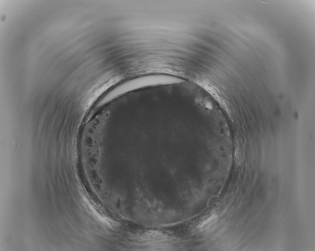 X0000088590390200706011143