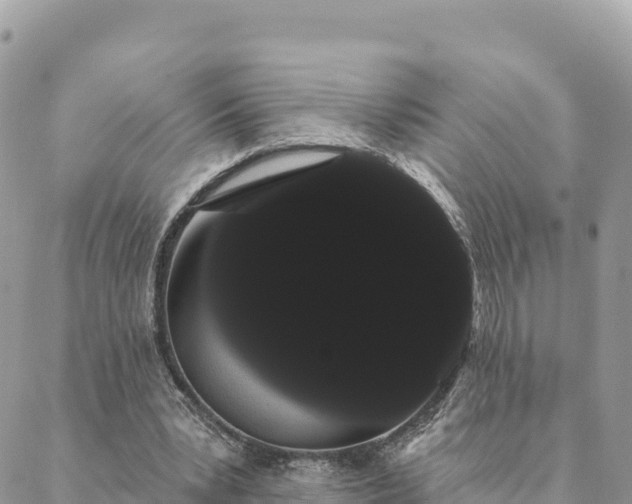 X0000088590391200706011143