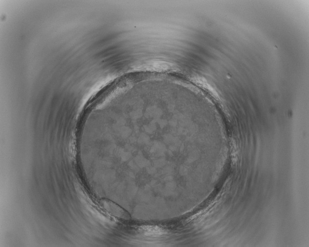 X0000088590392200706011143