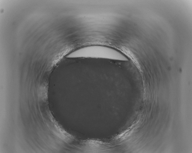 X0000088590393200706011143